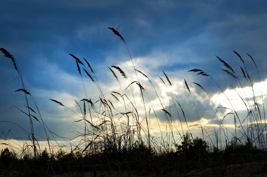 Winds will help cool things down this week