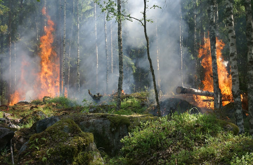 ‘I love Jasper’: Backcountry campers not deterred by dramatic wildfire rescue