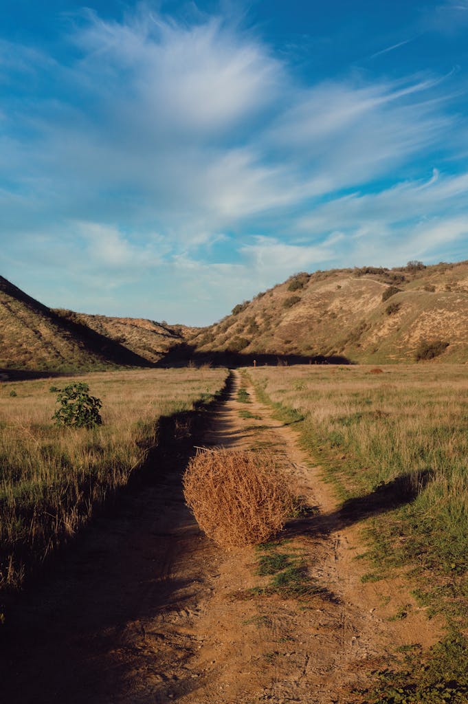 Watch for tumbleweeds and falling temperatures this week