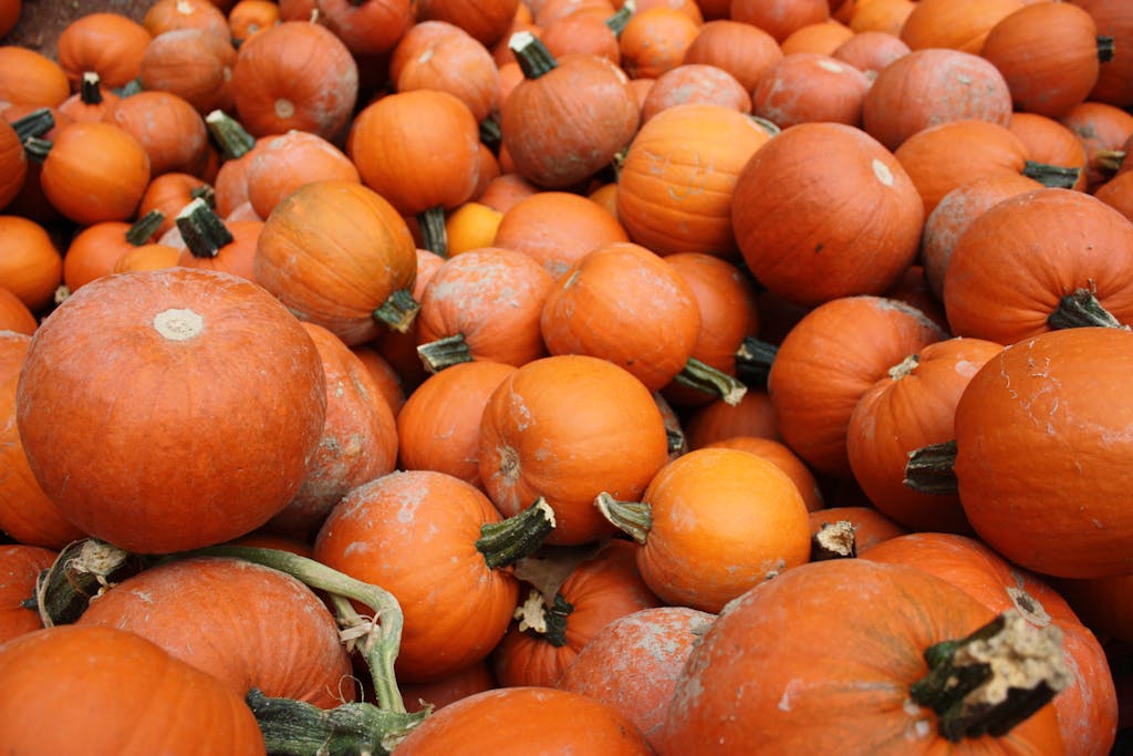 The unofficial official Halloween trick-or-treating forecast