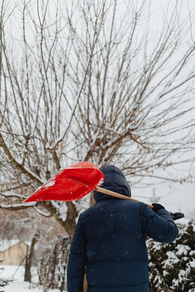 Saskatoon digging out from second big snowfall